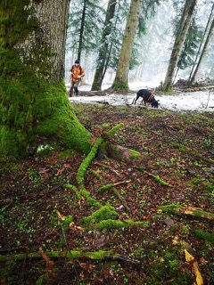 Schweissprüfung vom 2. Mai 2021 in Willerzell / Schwyz