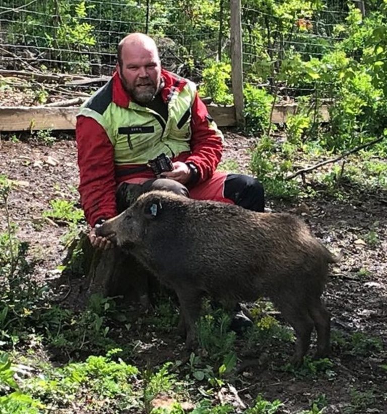 SKÖBr Tag im Schwarzwildgewöhnungsgatter Elgg