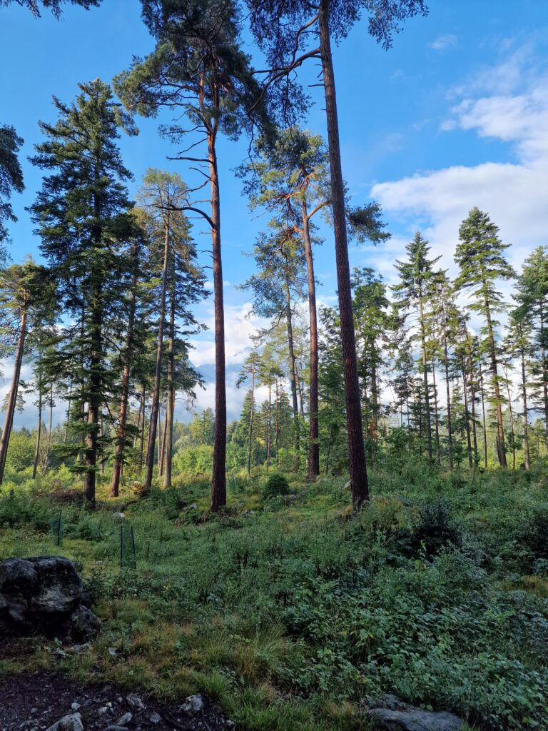 Schweissprüfung vom 19./20. August 2022 in Maienfeld/Graubünden