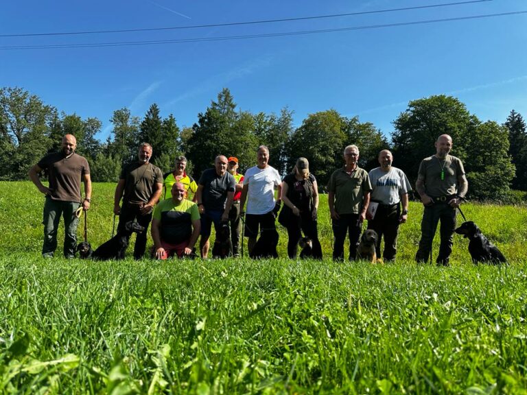 SKÖBR Tag im Schwarzwildgewöhnungsgatter Elgg vom 19.08.2023