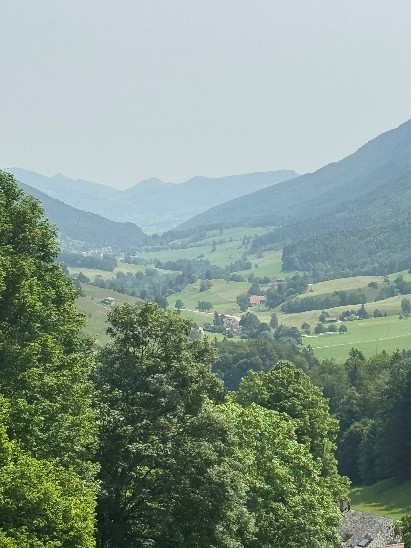 Region Nordwestschweiz Brackenwanderung 29.06.2025